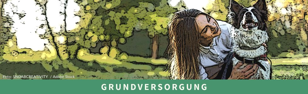 Grundversorgung