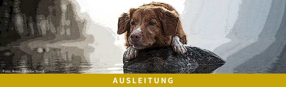 Ausleitung