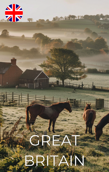 OKAPI Dealer in England