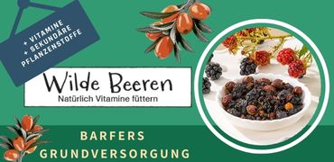 Wilde Beeren